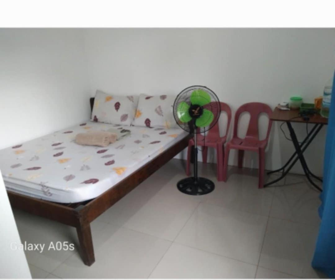 Francis Home Stay Port Barton Bonifacio Street Сан-Висенте Экстерьер фото